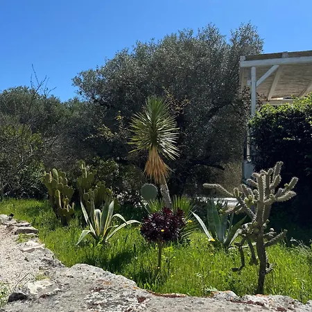 Trullo Happiness * Ostuni