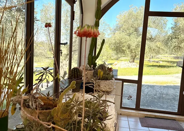 Trullo Happiness Vila *